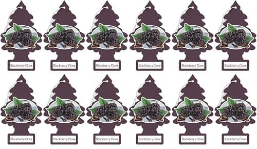 Little Trees Blackberry Clove Air Fresheners 12 Pack